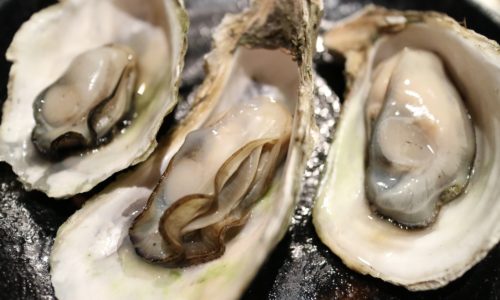 生産量№１！広島の牡蠣があんなにも美味しいのは何故！？
