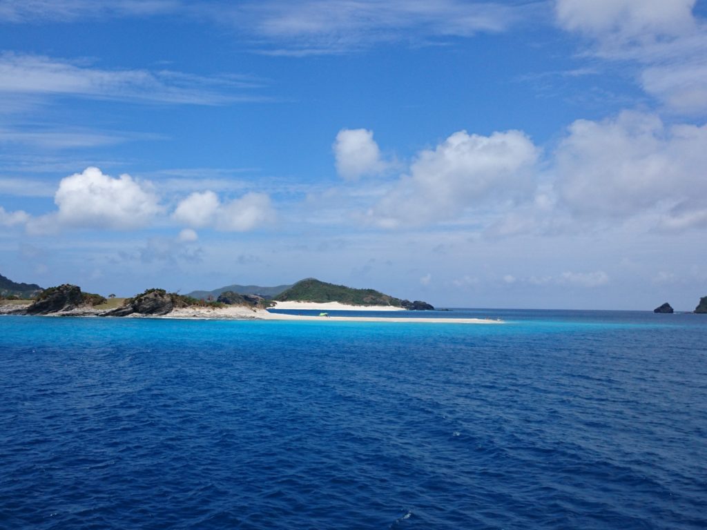 慶良間諸島の海でダイビング