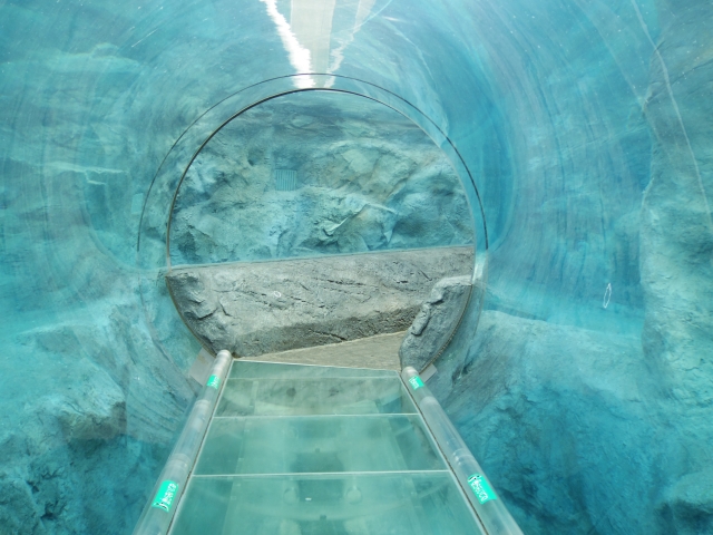 魅力がいっぱい！日本が誇る5つの海底トンネル