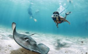 ダイビング改革!酸素ボンベが不要になるダイビング・ギア「NEMO」がスゴい!!