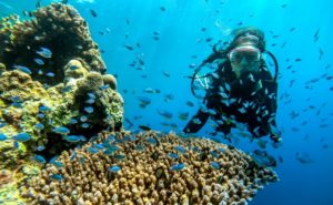 初心者でも安心！ダイビングに必要な機材一覧